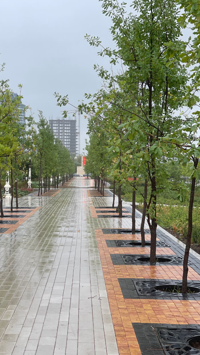 Приствольная решетка для дерева ZKING CRUST 1.2х1.2м Черная в Пятигорске фото